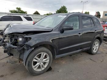  Salvage Hyundai SANTA FE