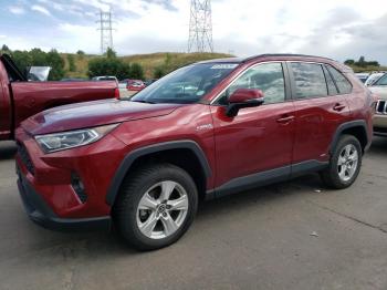  Salvage Toyota RAV4