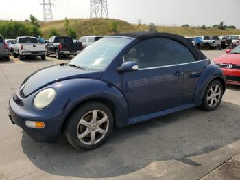  Salvage Volkswagen Beetle