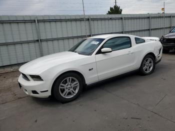  Salvage Ford Mustang