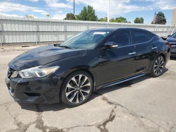  Salvage Nissan Maxima