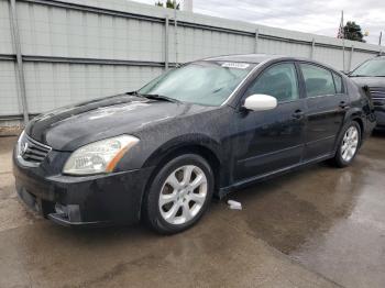  Salvage Nissan Maxima