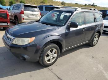  Salvage Subaru Forester