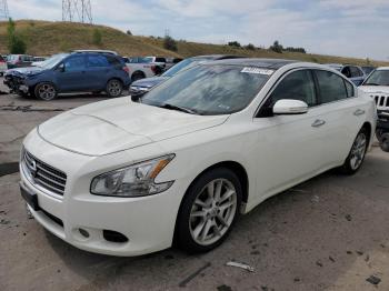  Salvage Nissan Maxima