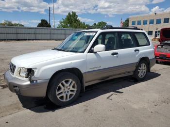  Salvage Subaru Forester