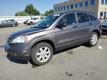  Salvage Honda Crv