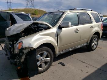  Salvage Ford Escape