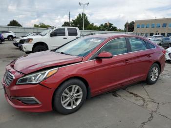  Salvage Hyundai SONATA