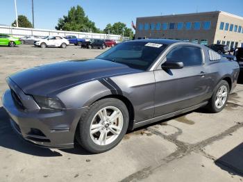  Salvage Ford Mustang