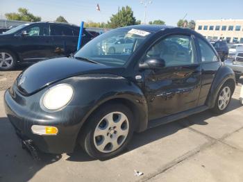  Salvage Volkswagen Beetle