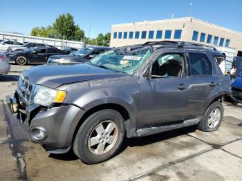  Salvage Ford Escape