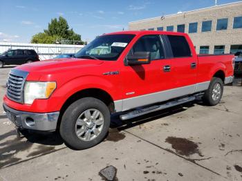  Salvage Ford F-150