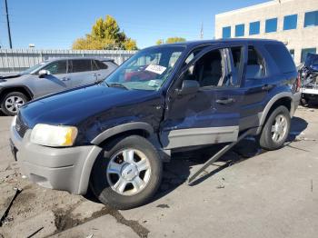  Salvage Ford Escape