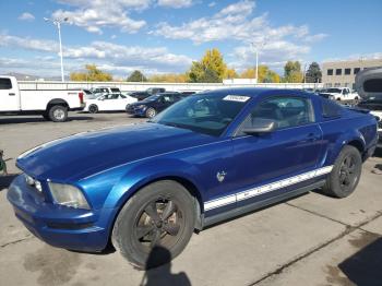  Salvage Ford Mustang