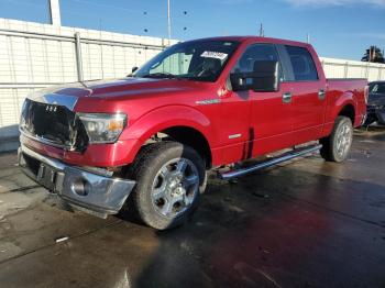  Salvage Ford F-150