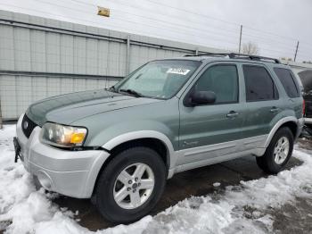  Salvage Ford Escape