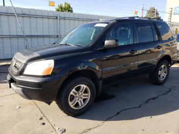  Salvage Honda Pilot