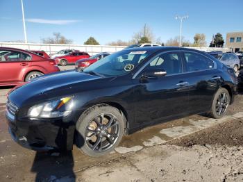  Salvage Nissan Maxima