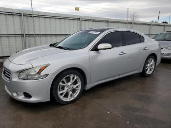  Salvage Nissan Maxima