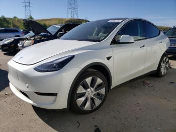  Salvage Tesla Model Y