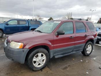  Salvage Ford Escape