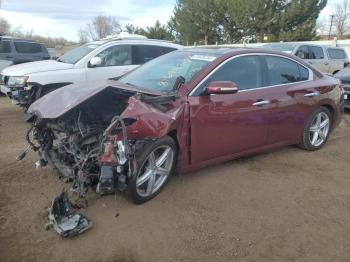  Salvage Nissan Maxima