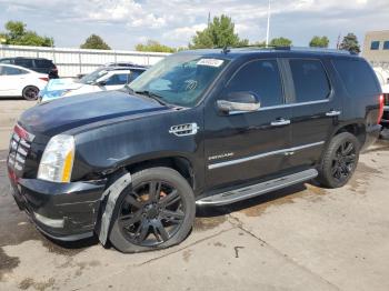  Salvage Cadillac Escalade