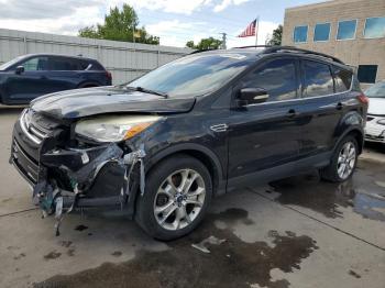  Salvage Ford Escape