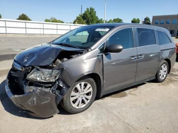  Salvage Honda Odyssey