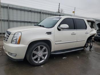  Salvage Cadillac Escalade