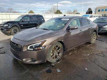  Salvage Nissan Maxima