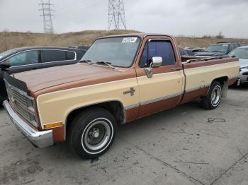  Salvage Chevrolet C10