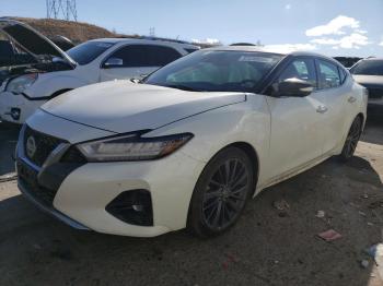  Salvage Nissan Maxima