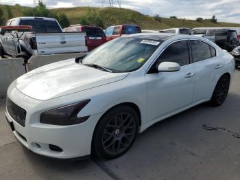  Salvage Nissan Maxima