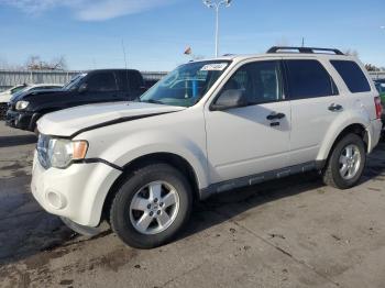  Salvage Ford Escape