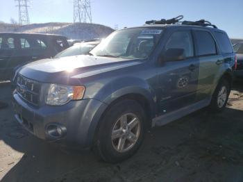  Salvage Ford Escape