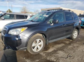  Salvage Subaru Forester