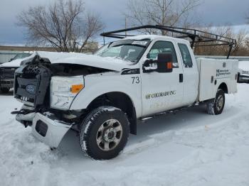  Salvage Ford F-250