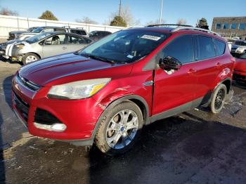  Salvage Ford Escape