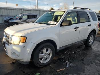  Salvage Ford Escape