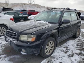  Salvage Subaru Forester