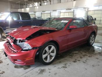  Salvage Ford Mustang