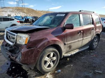  Salvage Honda Pilot