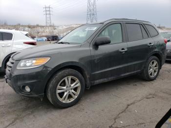  Salvage Hyundai SANTA FE