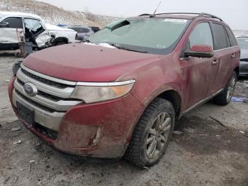  Salvage Ford Edge