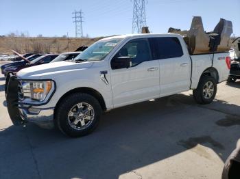  Salvage Ford F-150