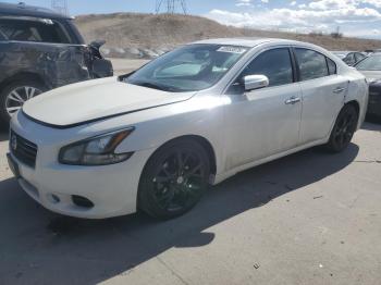  Salvage Nissan Maxima