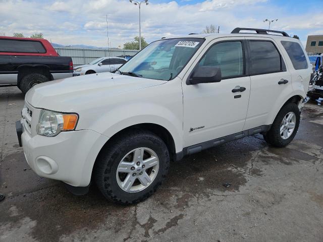 Salvage Ford Escape