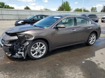  Salvage Nissan Maxima