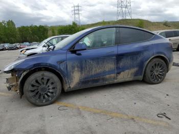  Salvage Tesla Model Y
